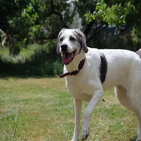 아파트 Maison Fleurie *