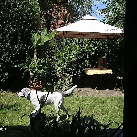 Maison Fleurie 아파트 Schwabwiller