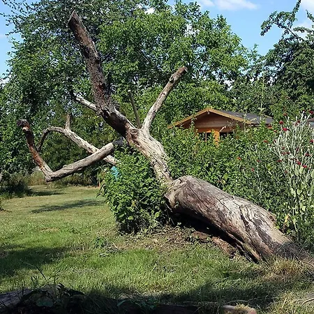 Maison Fleurie * Schwabwiller